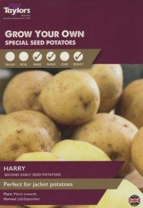 Seed Potatoes Harry 10
